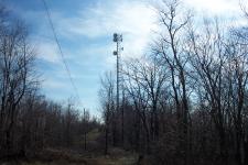 A more distant view of the tower.