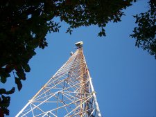 Tower